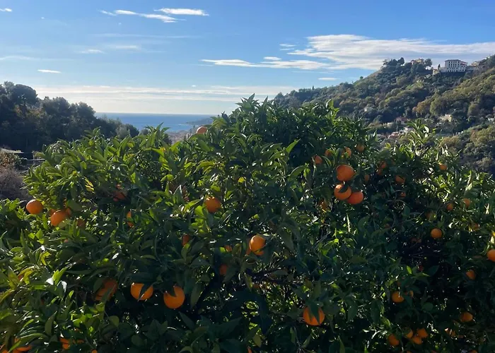 Shangri-la - Calme - Confort - Vue - Pkg - Wifi